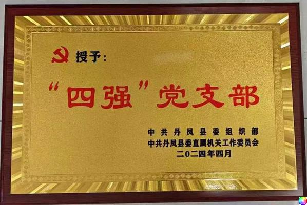 丹凤县检察院党支部被命名为“四强”党支部
